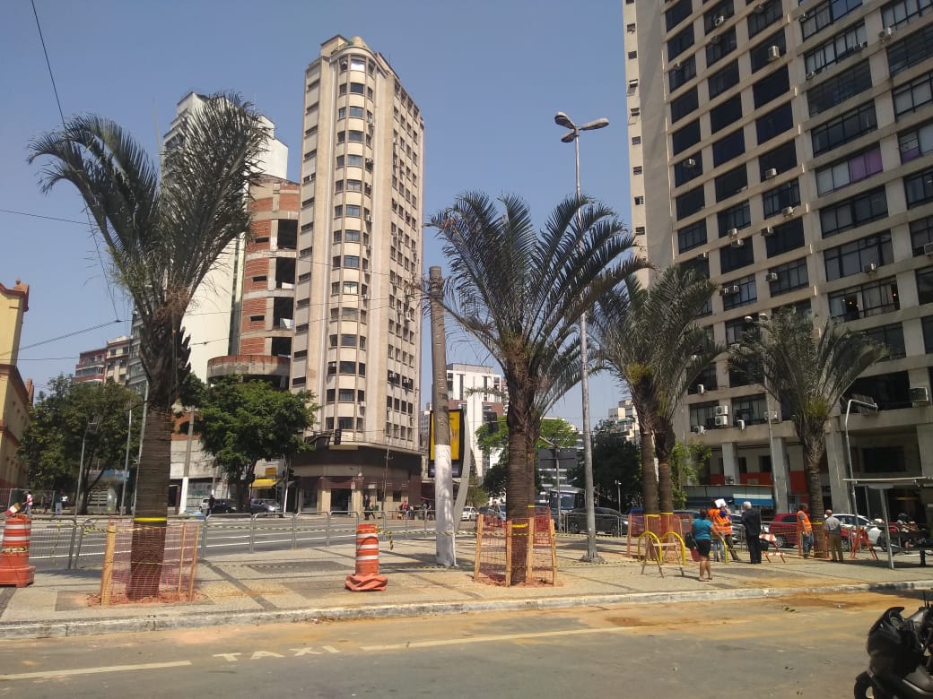  Fotografia colorida mostra palmeiras recém plantadas na praça. É possível ver a rua e pessoas circulando. O dia está de céu limpo e azul 